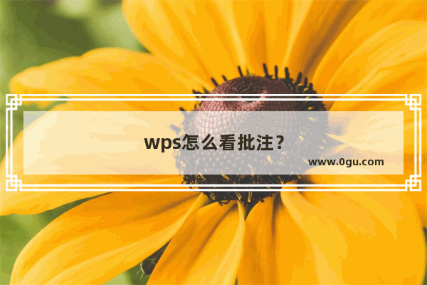 wps怎么看批注？