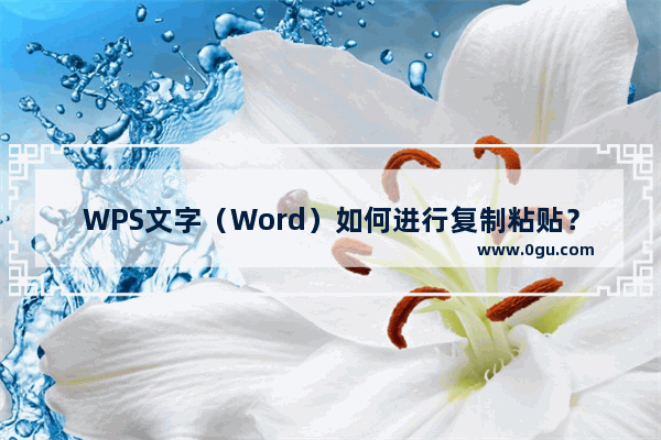 WPS文字（Word）如何进行复制粘贴？