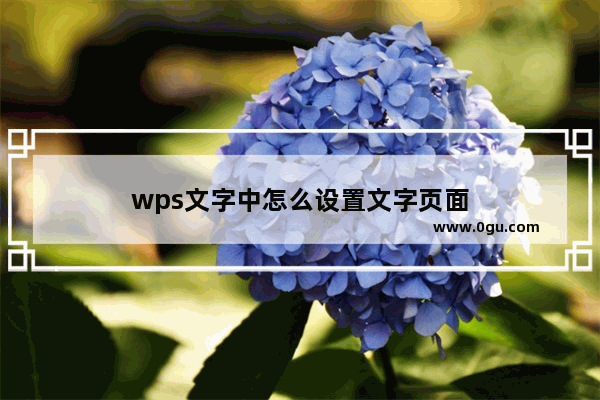 wps文字中怎么设置文字页面