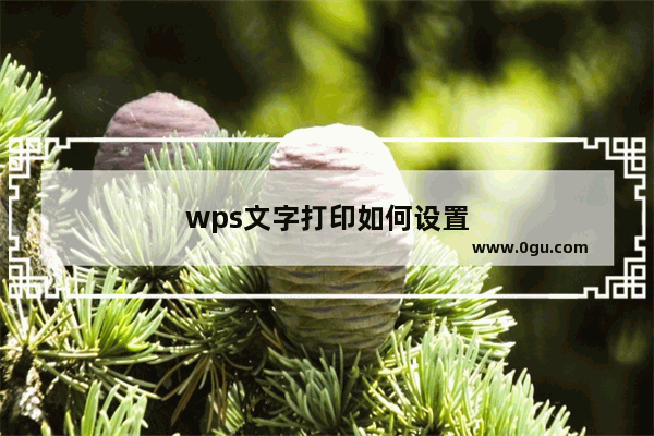 wps文字打印如何设置