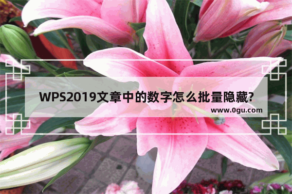 WPS2019文章中的数字怎么批量隐藏?