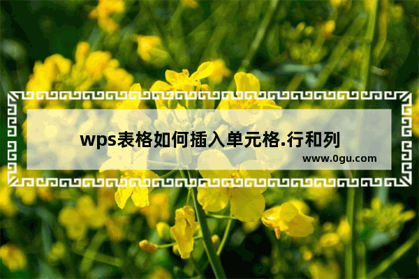 wps表格如何插入单元格.行和列