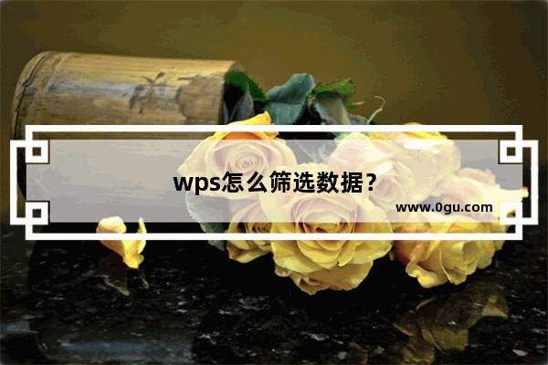 wps怎么筛选数据？