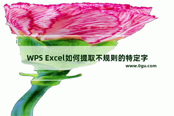 WPS Excel如何提取不规则的特定字段