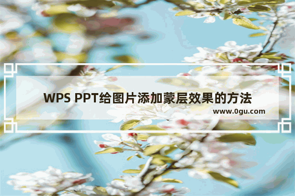 WPS PPT给图片添加蒙层效果的方法