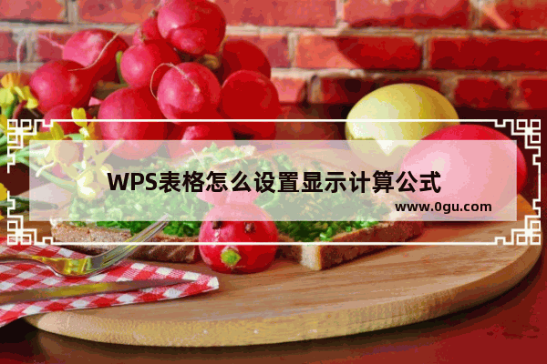 WPS表格怎么设置显示计算公式