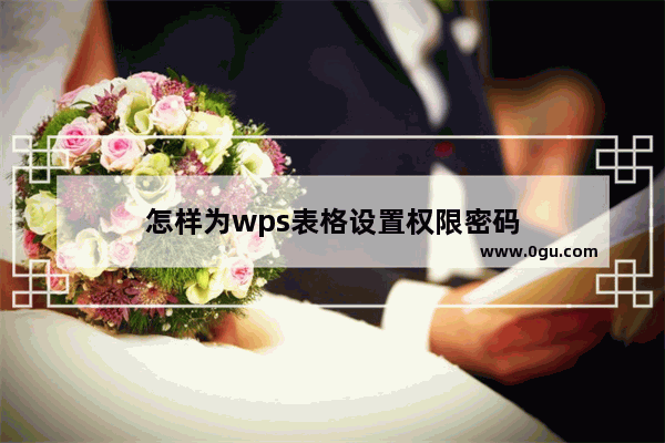 怎样为wps表格设置权限密码