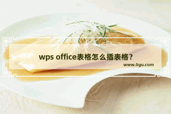 wps office表格怎么插表格？