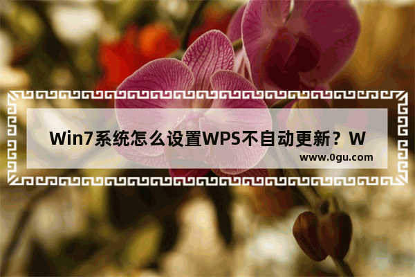 Win7系统怎么设置WPS不自动更新？WPS不自动更新设置教程