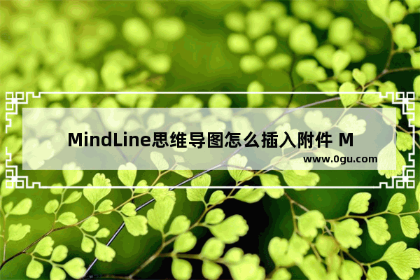 MindLine思维导图怎么插入附件 MindLine思维导图添加附件的方法