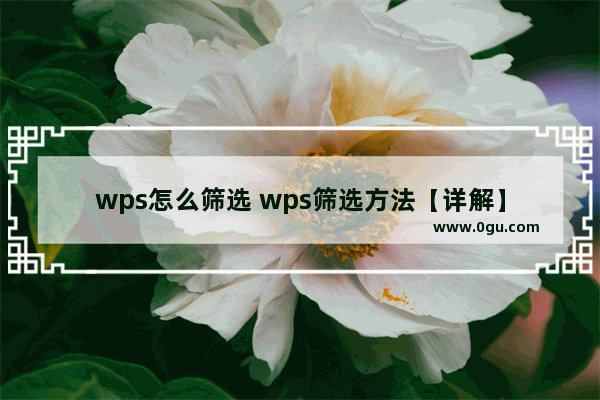 wps怎么筛选 wps筛选方法【详解】