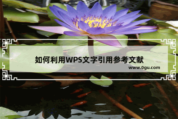 如何利用WPS文字引用参考文献