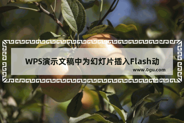 WPS演示文稿中为幻灯片插入Flash动画文件的具体步骤