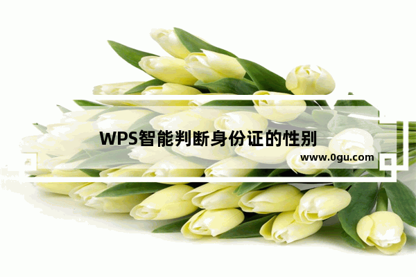 WPS智能判断身份证的性别