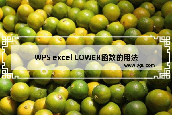 WPS excel LOWER函数的用法