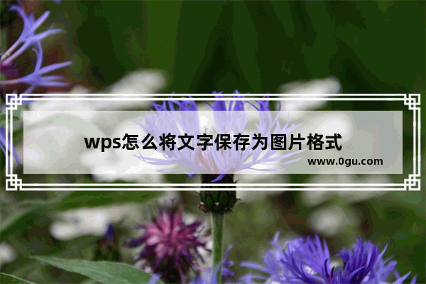 wps怎么将文字保存为图片格式