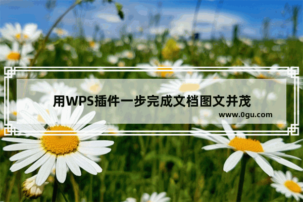 用WPS插件一步完成文档图文并茂