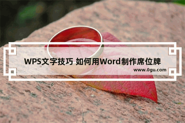 WPS文字技巧 如何用Word制作席位牌