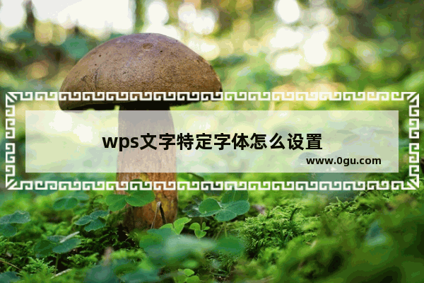 wps文字特定字体怎么设置