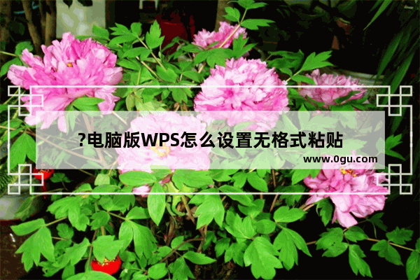 ?电脑版WPS怎么设置无格式粘贴