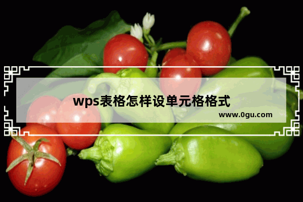 wps表格怎样设单元格格式