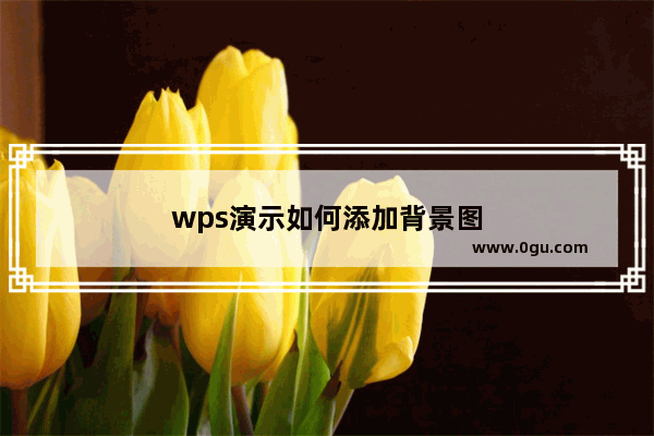 wps演示如何添加背景图