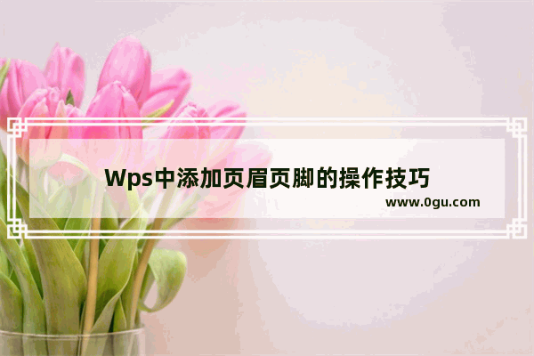 Wps中添加页眉页脚的操作技巧