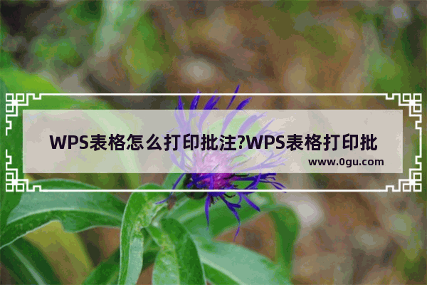 WPS表格怎么打印批注?WPS表格打印批注方法