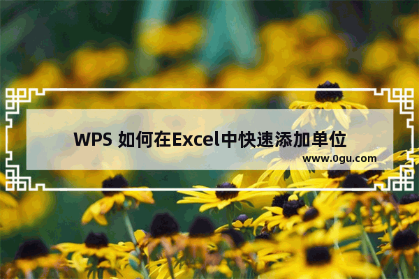 WPS 如何在Excel中快速添加单位