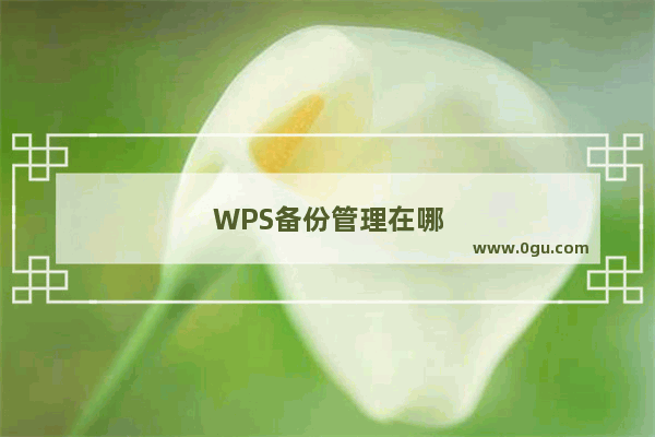 WPS备份管理在哪