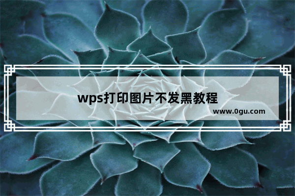 wps打印图片不发黑教程