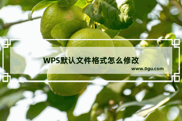 WPS默认文件格式怎么修改