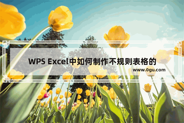 WPS Excel中如何制作不规则表格的方法