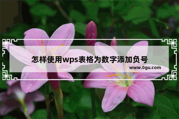 怎样使用wps表格为数字添加负号