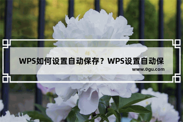 WPS如何设置自动保存？WPS设置自动保存的方法