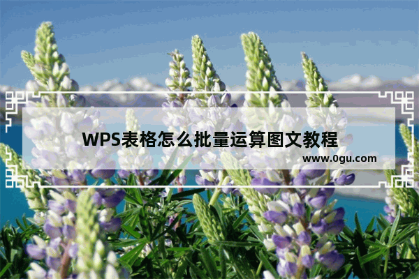 WPS表格怎么批量运算图文教程