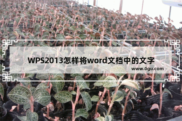 WPS2013怎样将word文档中的文字素材转换为文稿