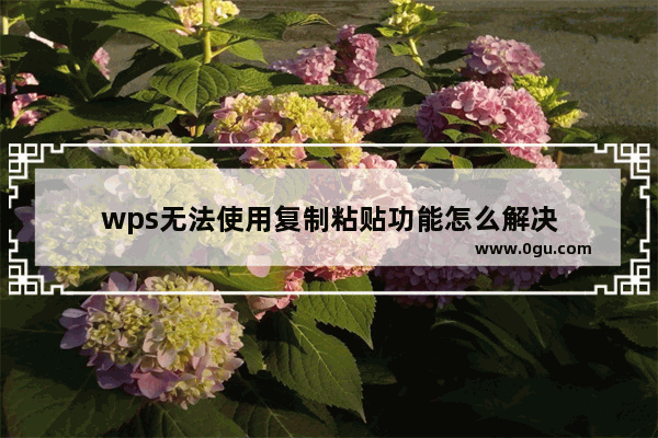 wps无法使用复制粘贴功能怎么解决