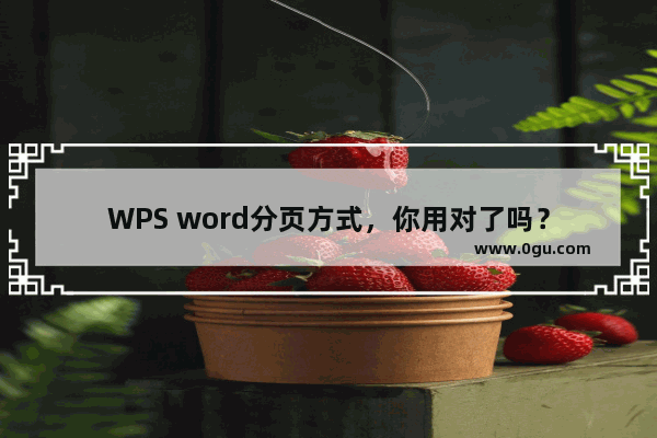 WPS word分页方式，你用对了吗？