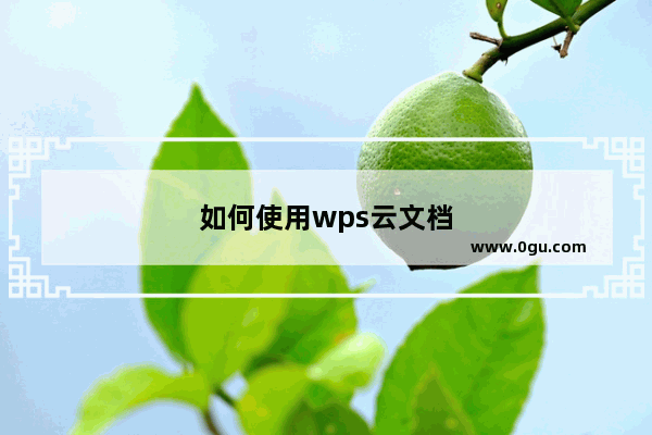 如何使用wps云文档