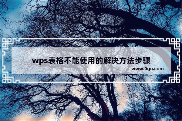 wps表格不能使用的解决方法步骤