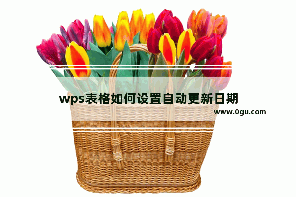 wps表格如何设置自动更新日期