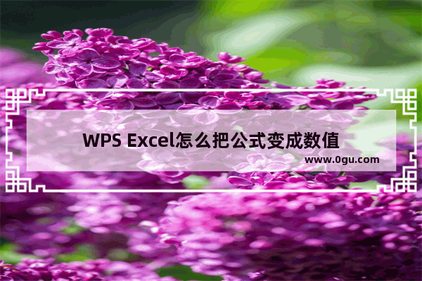 WPS Excel怎么把公式变成数值