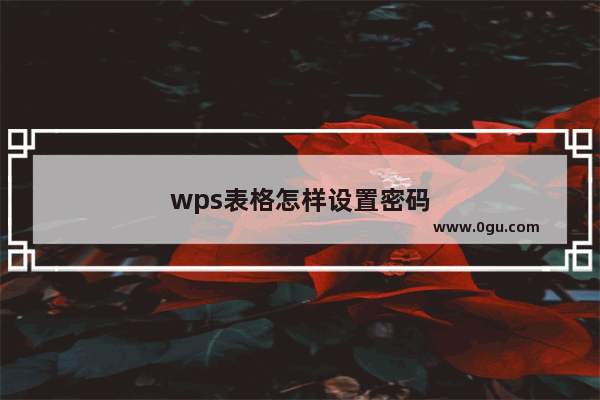 wps表格怎样设置密码