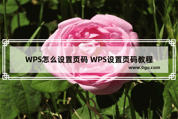 WPS怎么设置页码 WPS设置页码教程