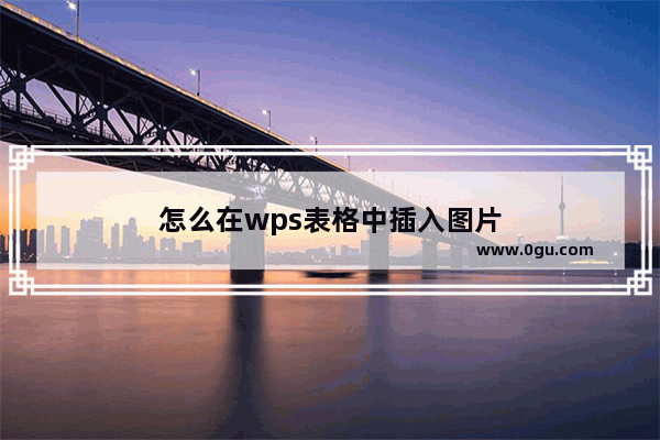 怎么在wps表格中插入图片