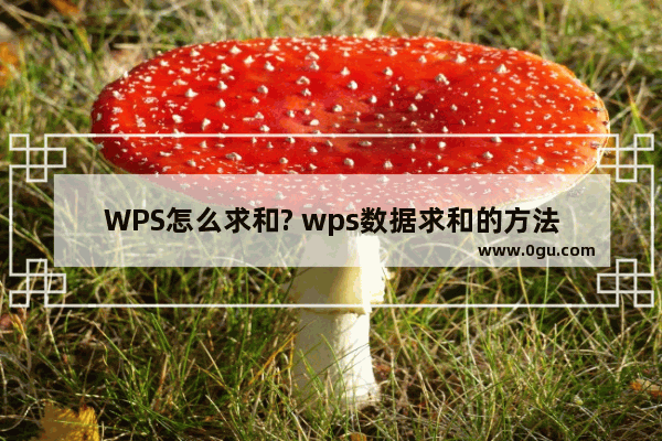 WPS怎么求和? wps数据求和的方法