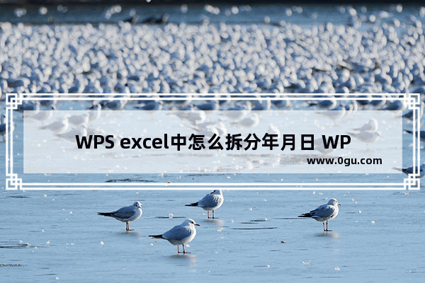 WPS excel中怎么拆分年月日 WPS excel拆分日期年月日的方法