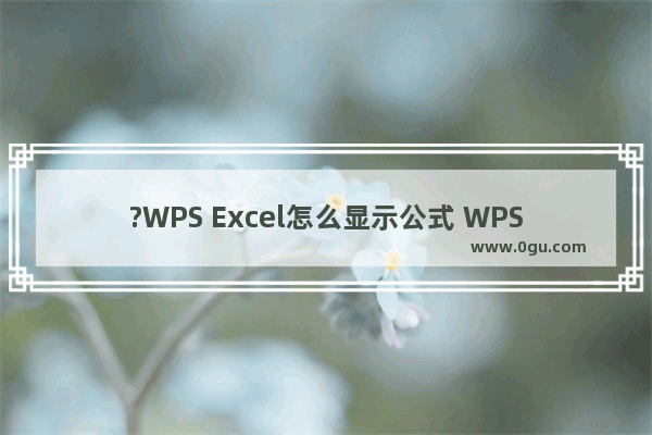 ?WPS Excel怎么显示公式 WPS表格中显示函数公式方法教程