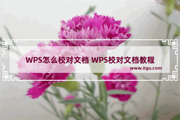 WPS怎么校对文档 WPS校对文档教程